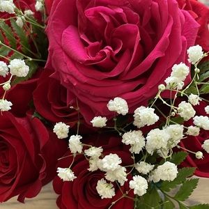 Meet your Posher, Arielle